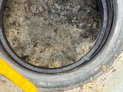 Fosse septique pleine de boues avant vidange